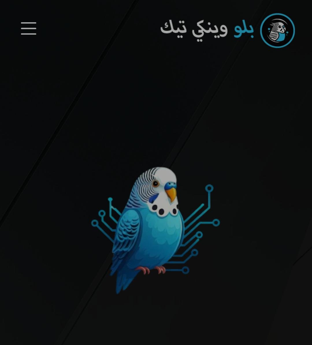 شركة بلو وينكي تيك